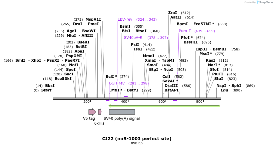 23690_map