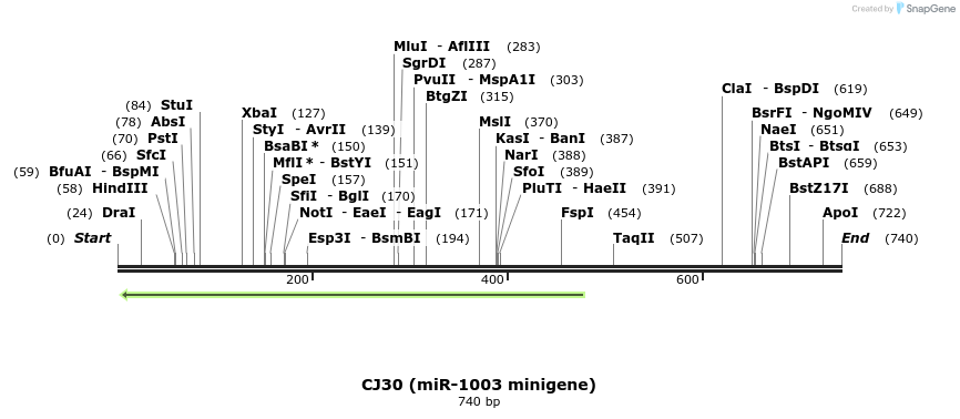 23696_map