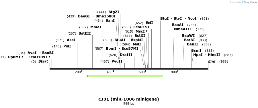 23697_map
