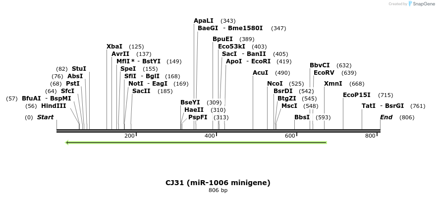 23698_map