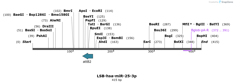 236980_map