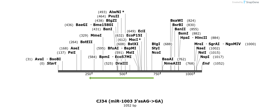 23701_map