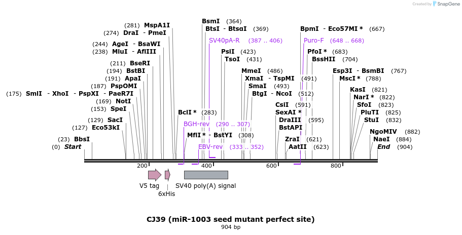23704_map