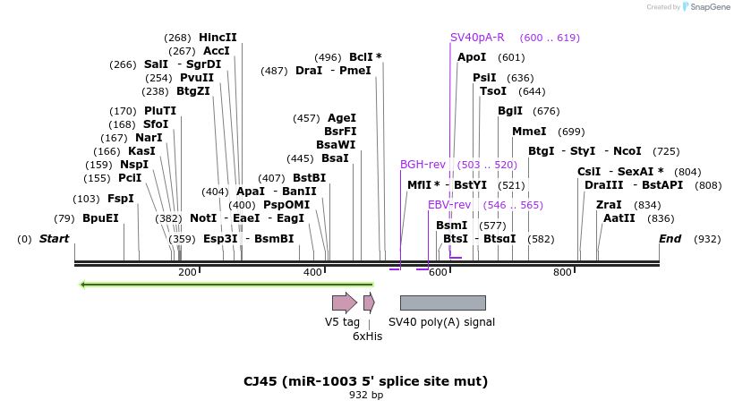 23707_map