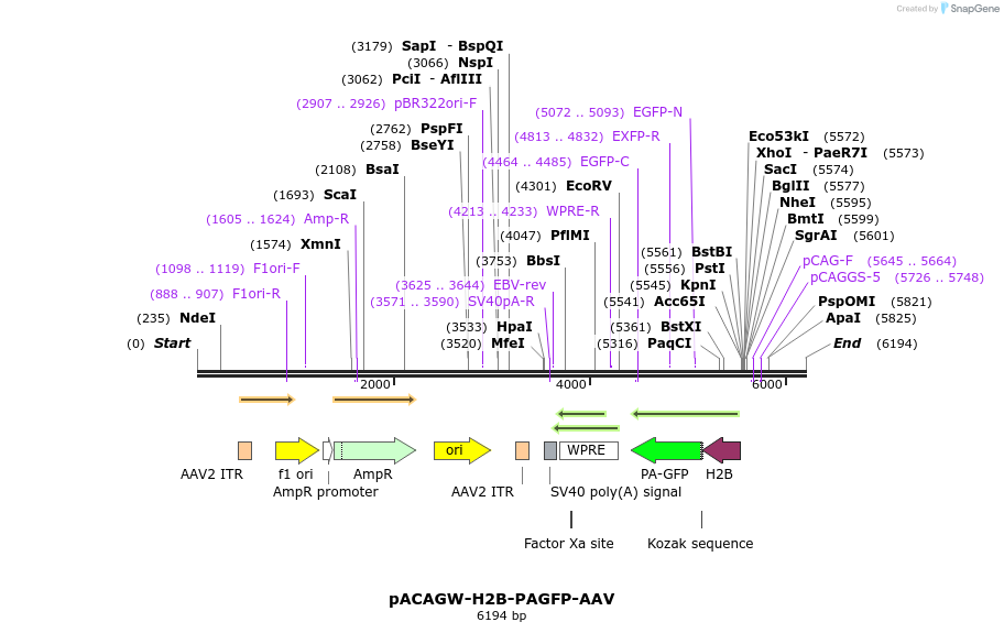 237070_map