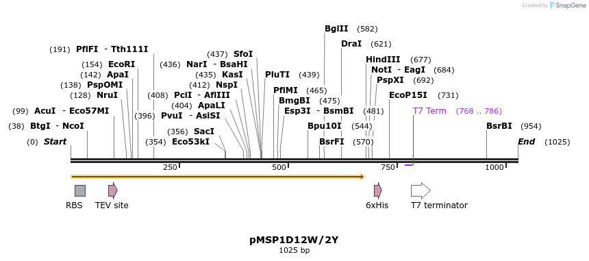 237071_map