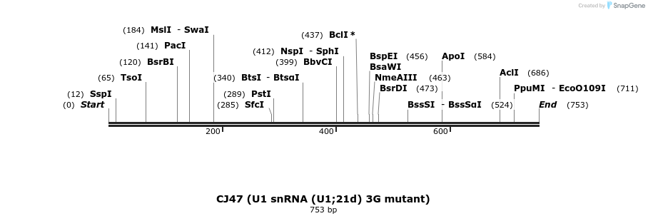 23708_map