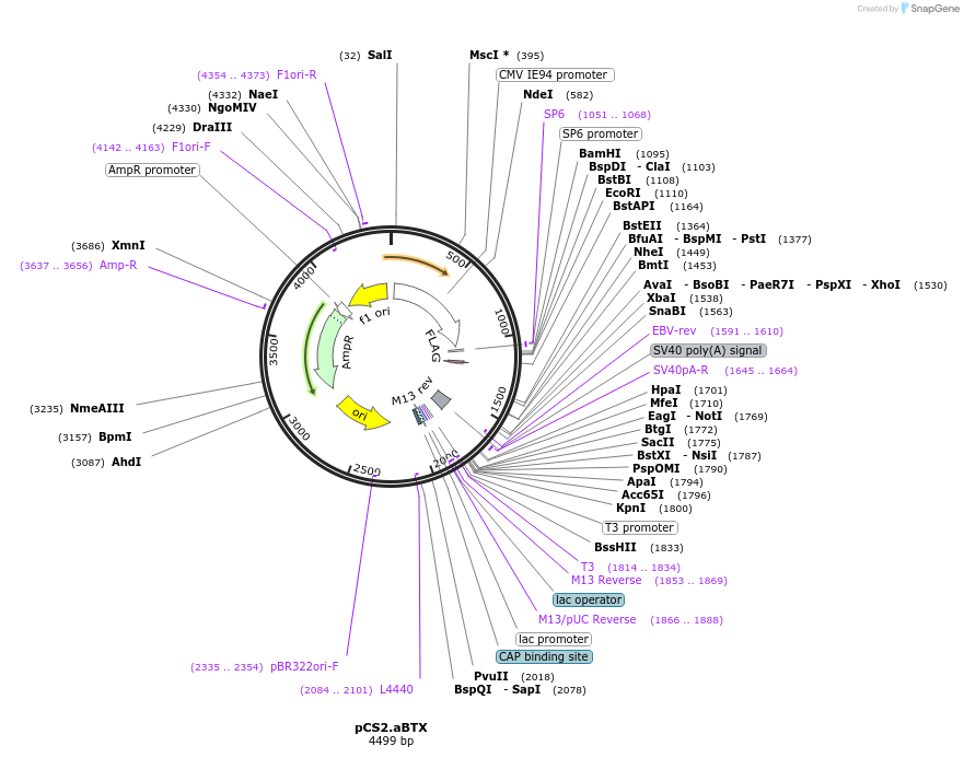 237102_map