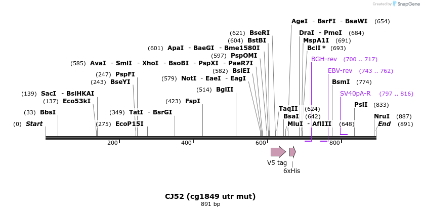 23712_map