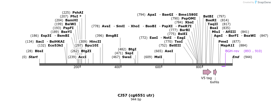 23715_map