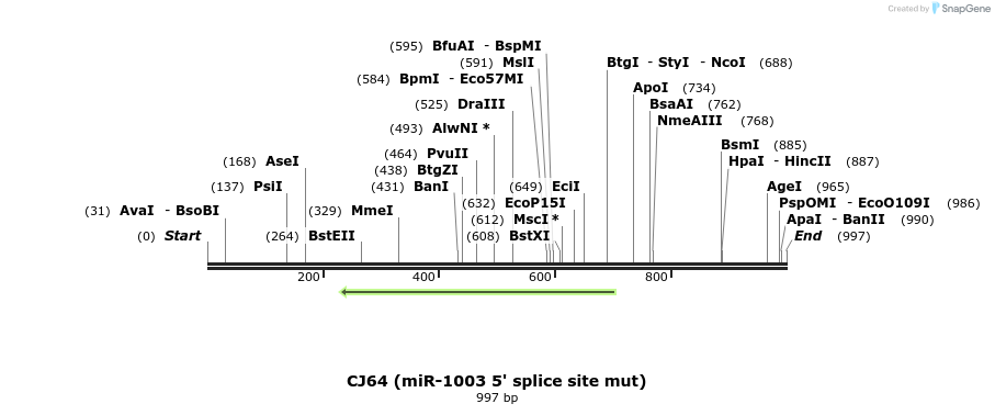 23717_map