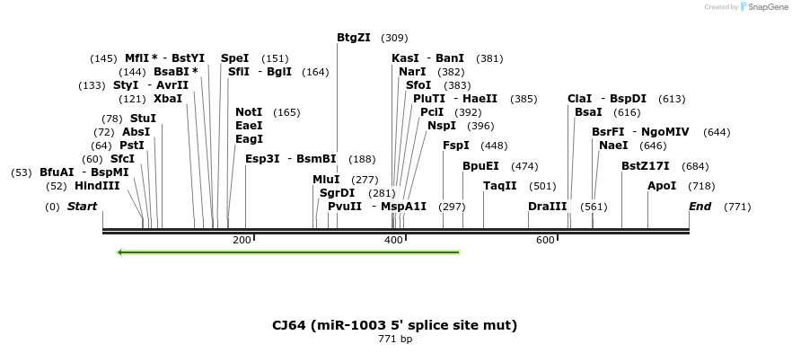 23718_map