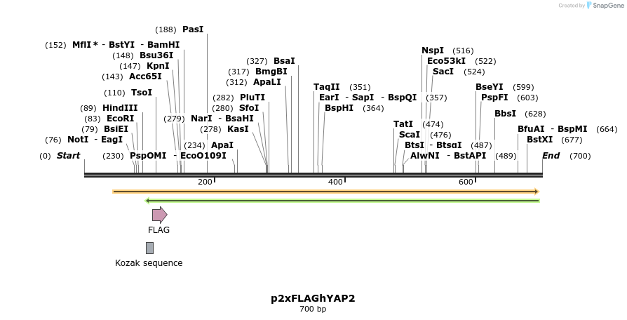 23719_map