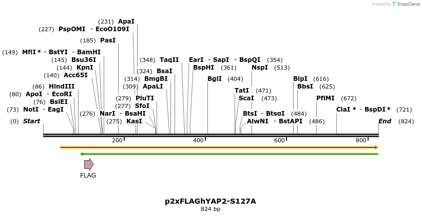 23720_map
