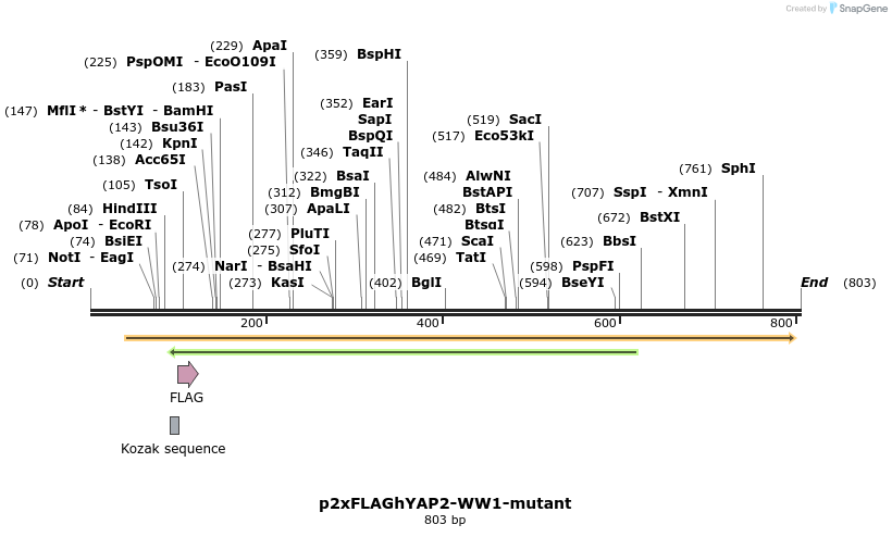 23721_map