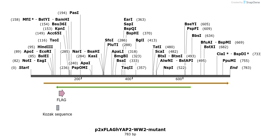 23722_map