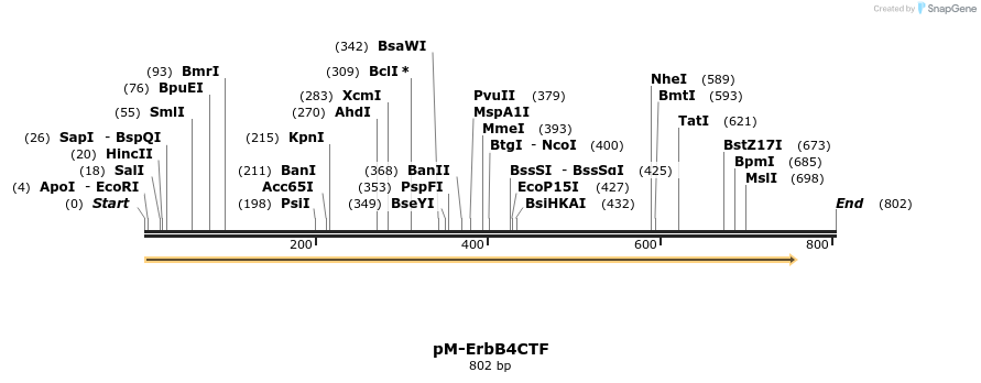 23723_map