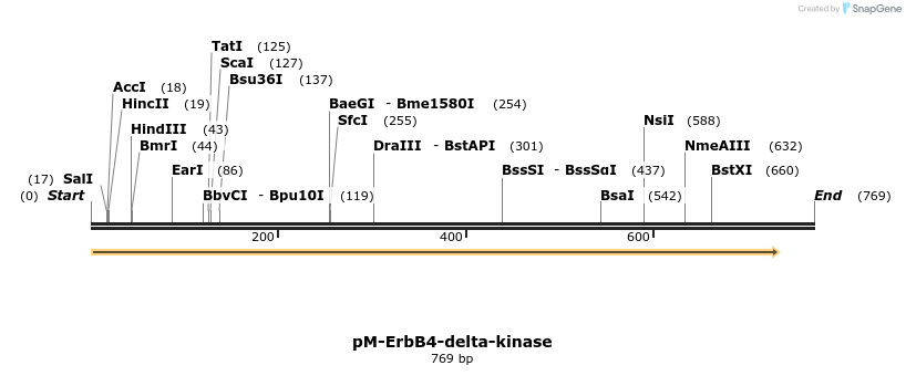 23726_map