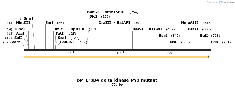 23728_map
