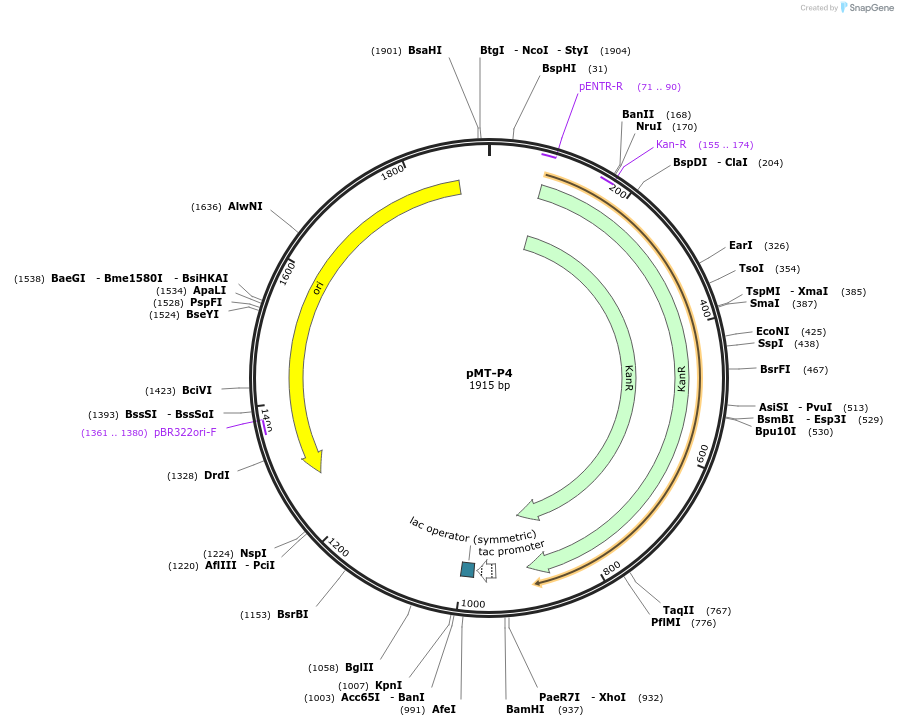 237297_map