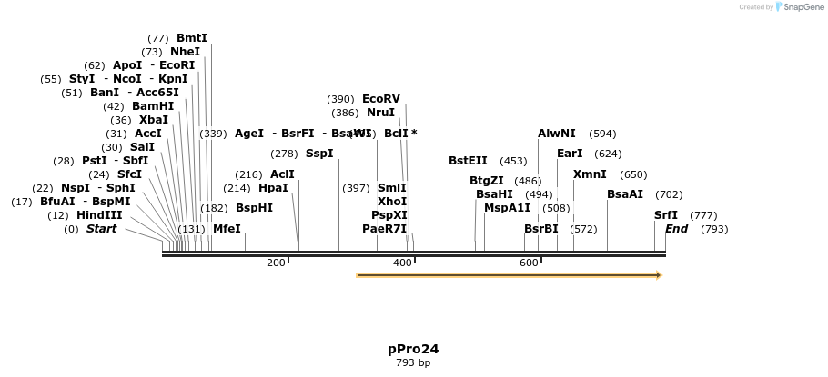 23730_map