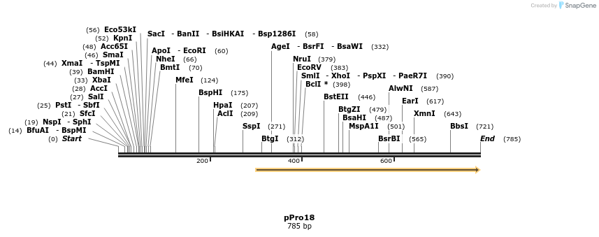 23731_map