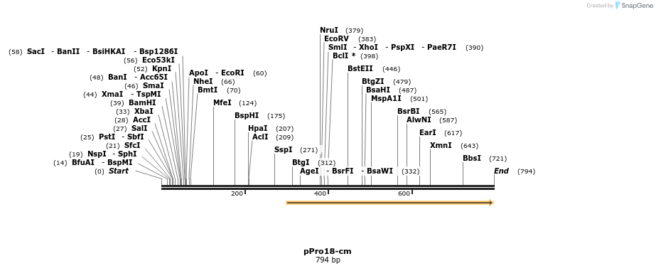 23732_map