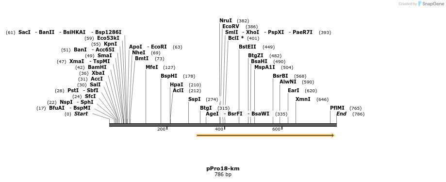 23733_map