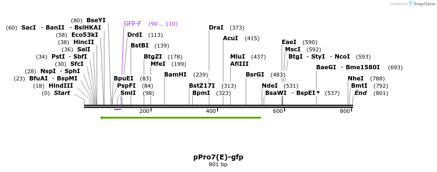 23736_map