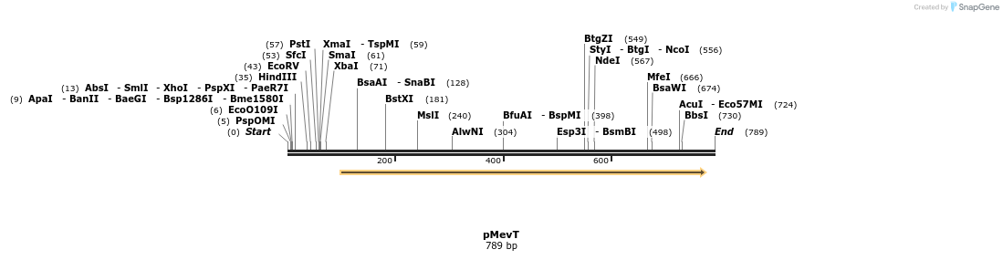 23740_map