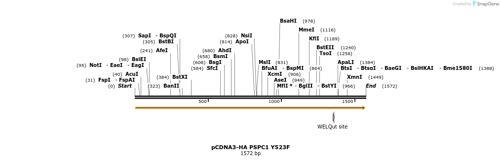 237403_map