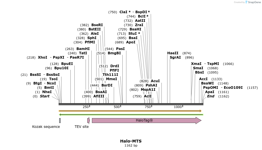 237423_map