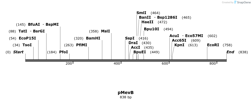 23743_map