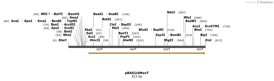 23744_map