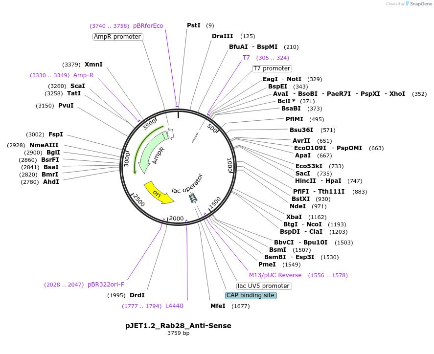 237441_map