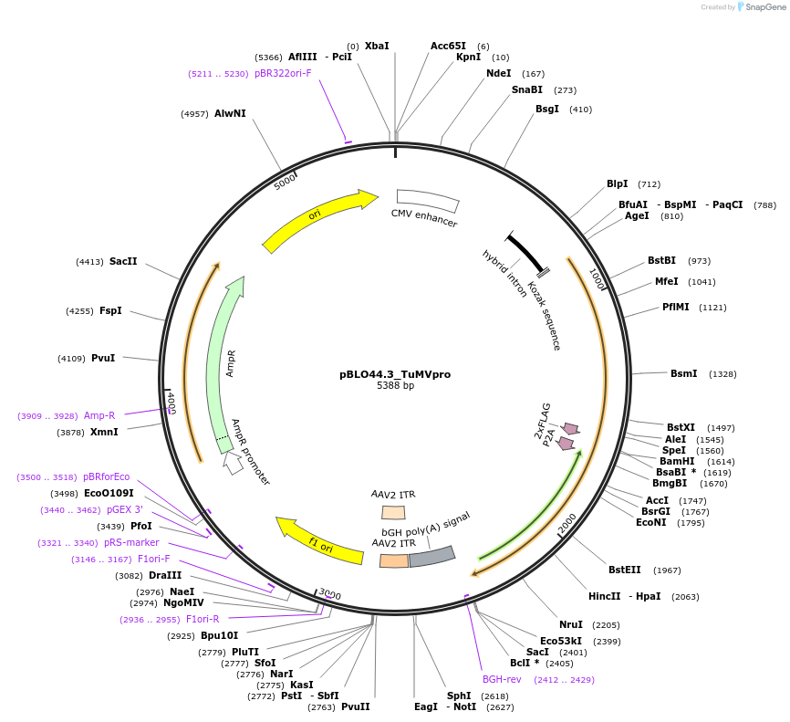 237449_map