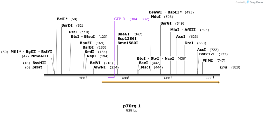 23750_map