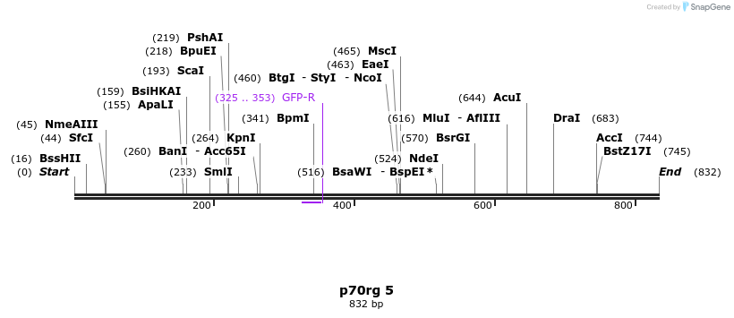 23751_map