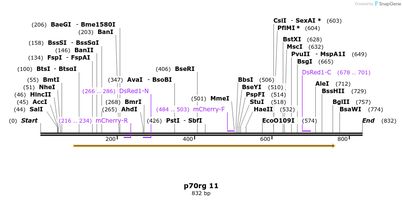 23752_map