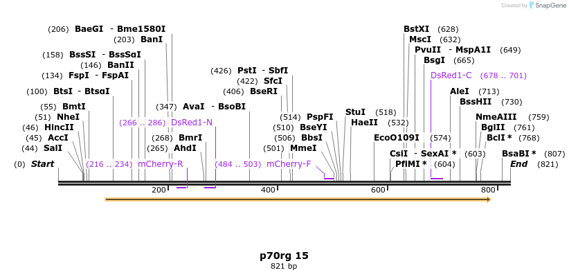 23753_map