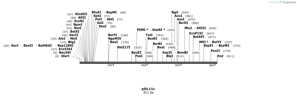 23755_map
