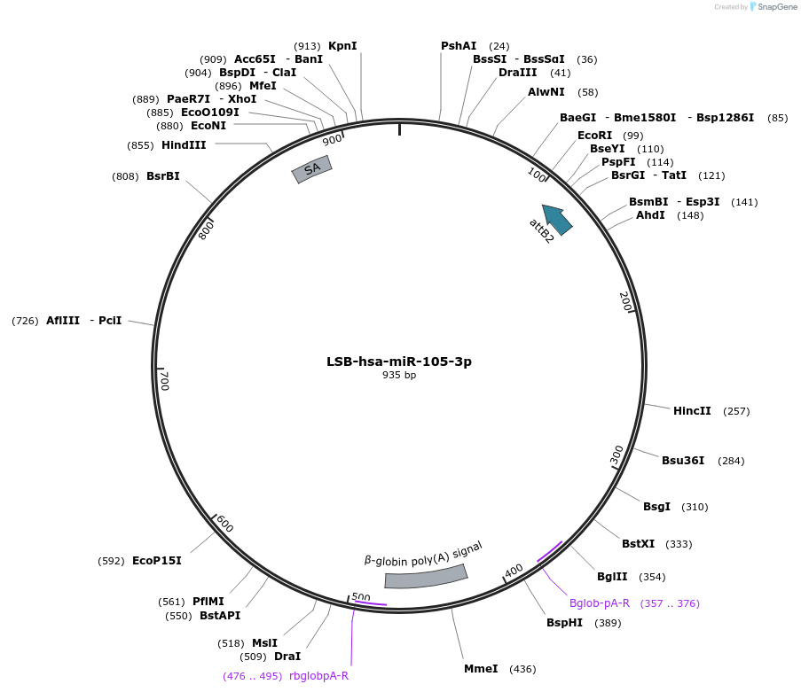 237609_map
