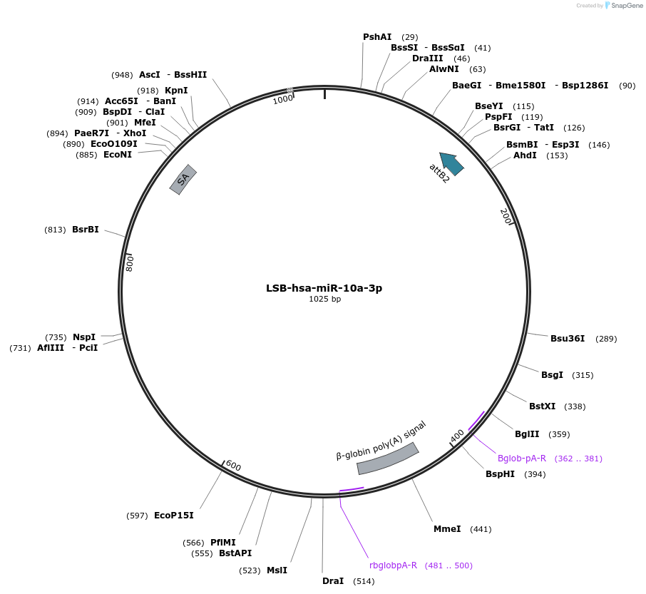 237610_map