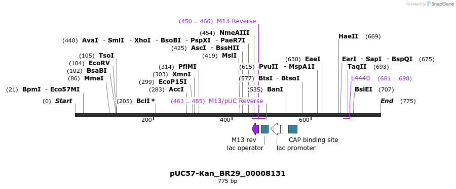 237620_map