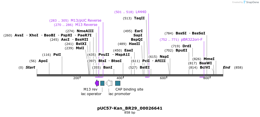 237624_map