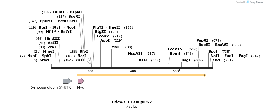 23765_map