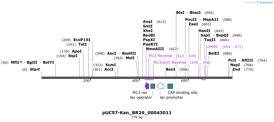 237660_map