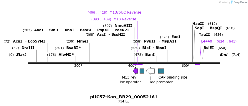 237661_map