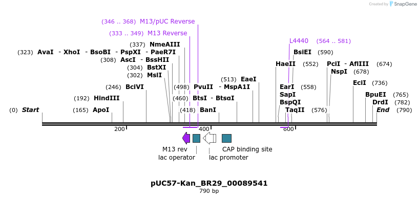 237667_map