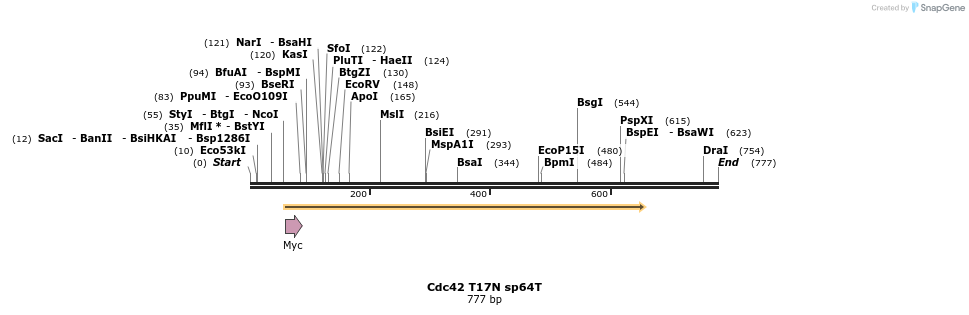23767_map